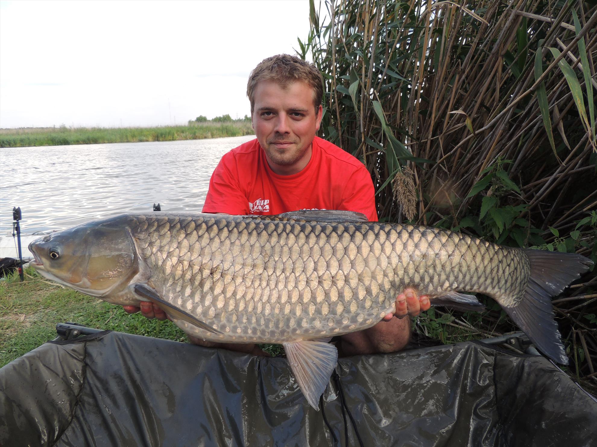 Tancabesti 12 - 14 sep. - 20.JPG